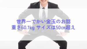 世界一でかい金玉の話をしよう。重さ60.1kg サイズは50cm超えの巨大サイズ