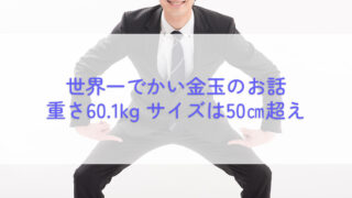 世界一でかい金玉の話をしよう。重さ60.1kg サイズは50cm超えの巨大サイズ