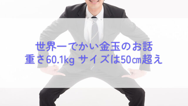 世界一でかい金玉の話をしよう。重さ60.1kg サイズは50cm超えの巨大サイズ