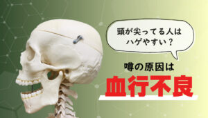 頭の形が尖っているとハゲやすい？噂の真偽と理由を解説