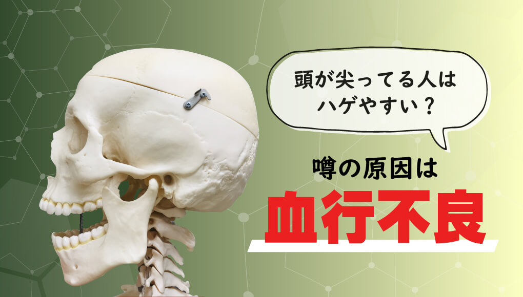 記事サムネイル