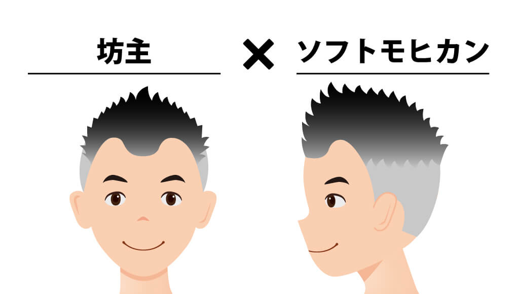 坊主×ソフトモヒカン