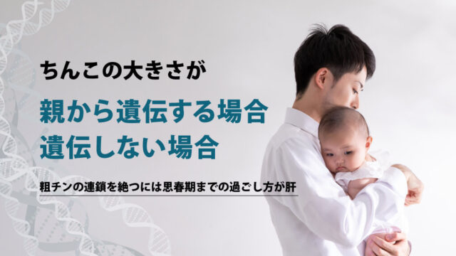 【ちんこの大きさは遺伝する】親が粗チンなら子も粗チン